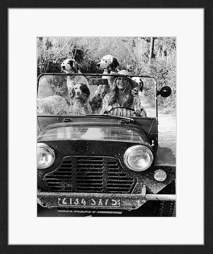 Bild Brigitte Bardot and Dogs 60x50