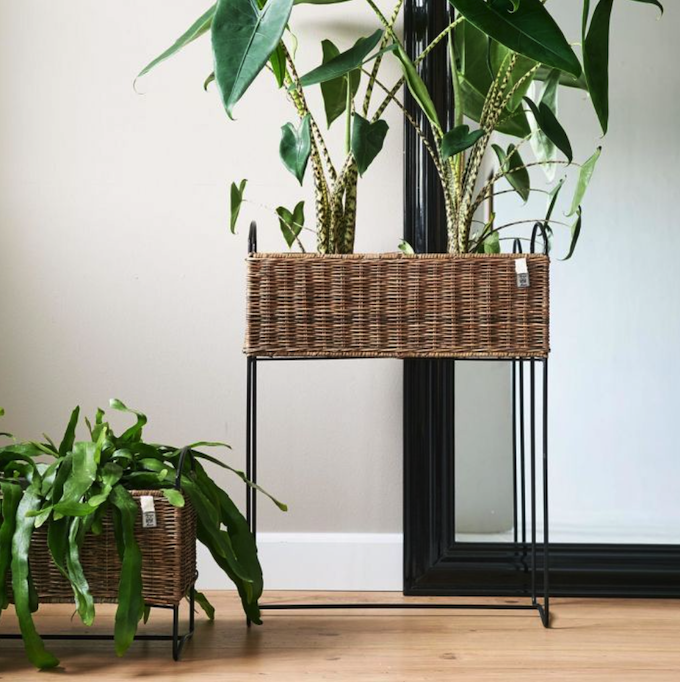Rustic Rattan Planter High