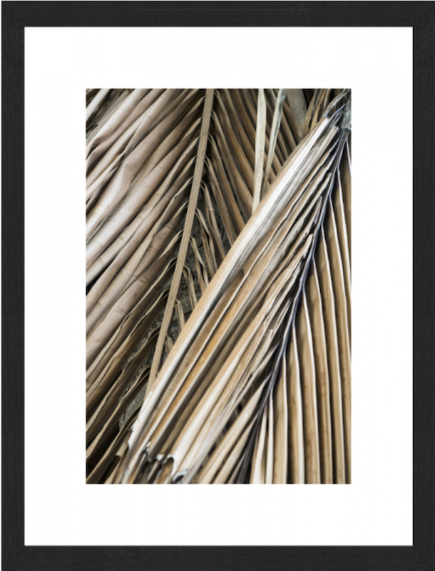 Palmblatt 2 60x80