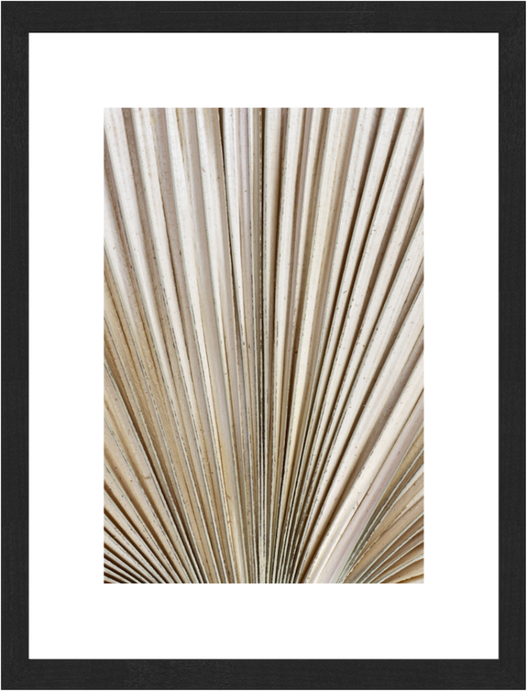 Palmblatt 60x80