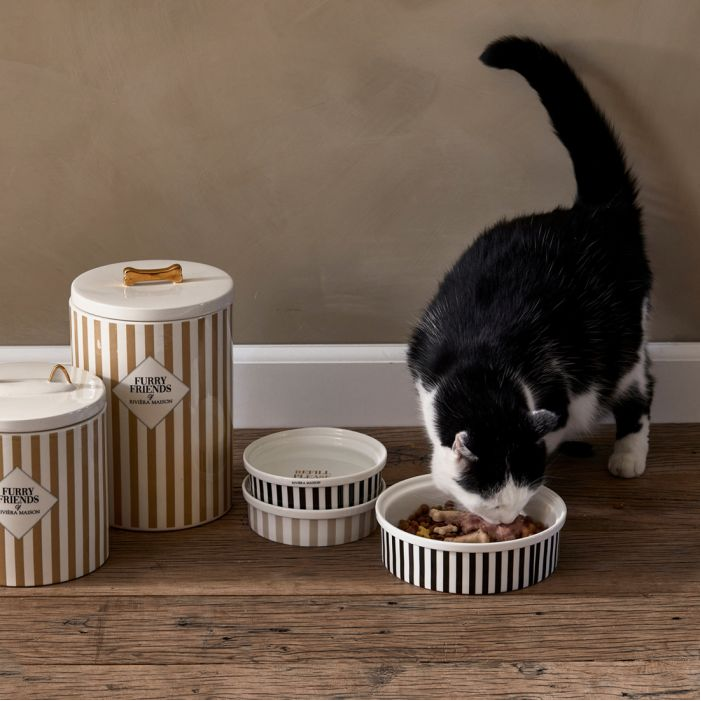 A Fish Tale Cat Bowl flax S