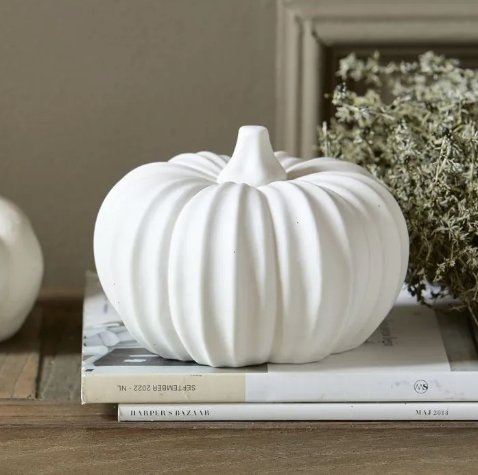 RM Olivier Pumpkin M