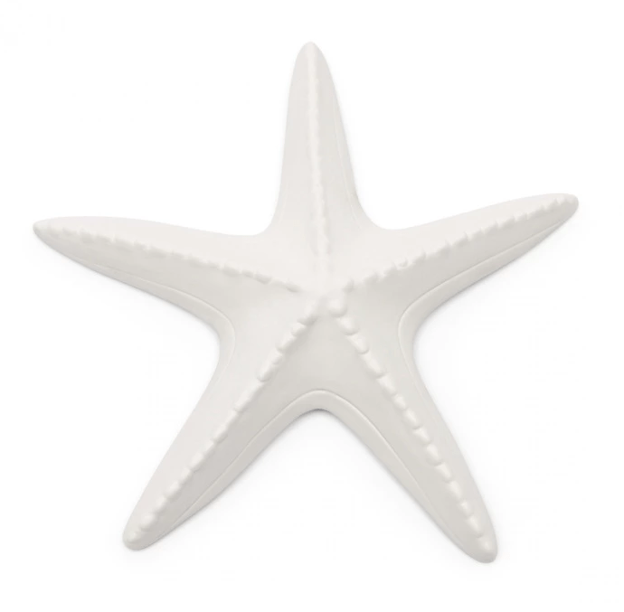 Étoile Starfish Decoration