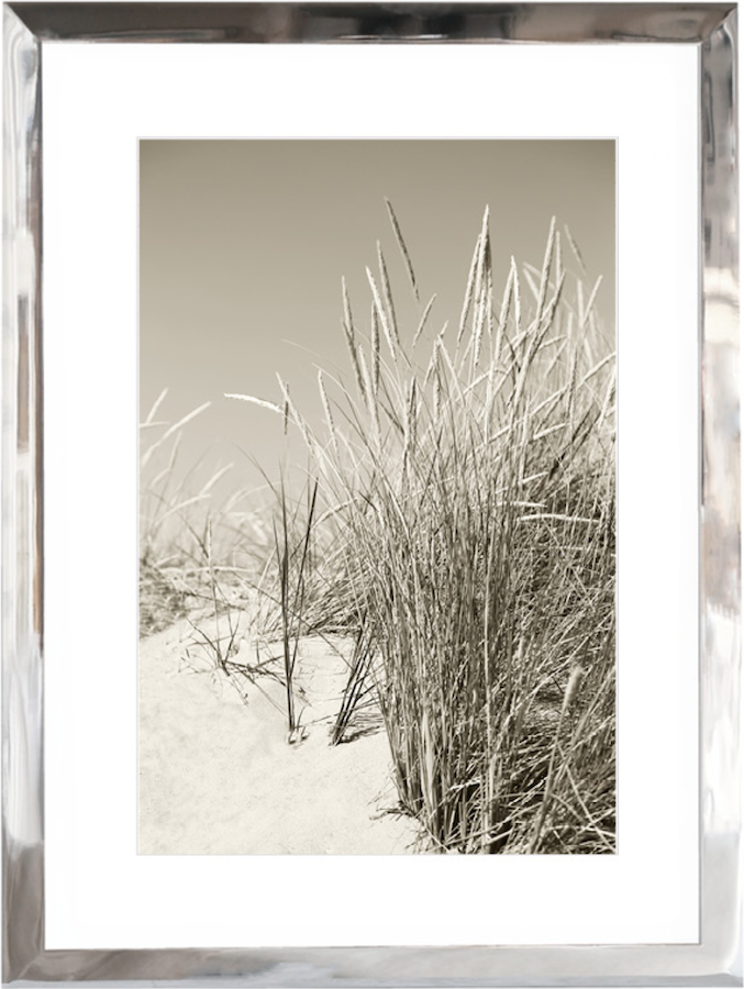 Nature 60603 L